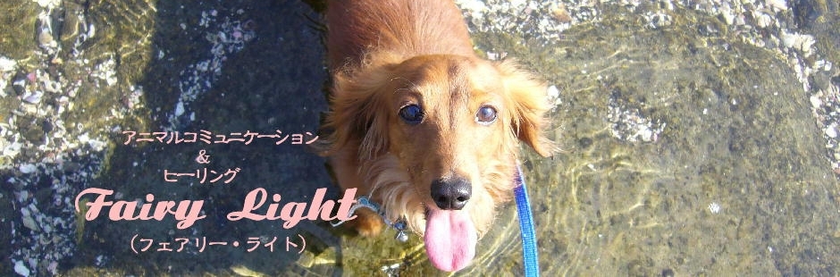 トップロゴ